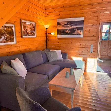 Blauvogel Bv 33 Hasselfelde