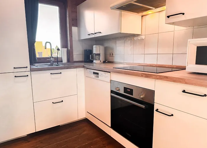 Blauvogel Bv 33 * Hasselfelde