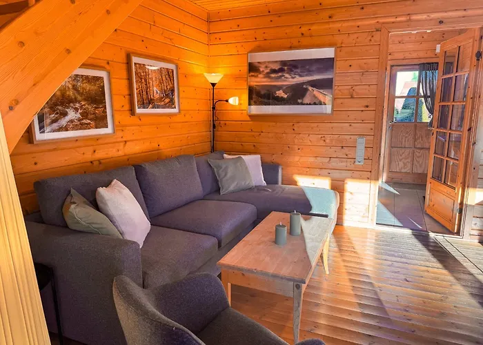 Blauvogel Bv 33 Hasselfelde